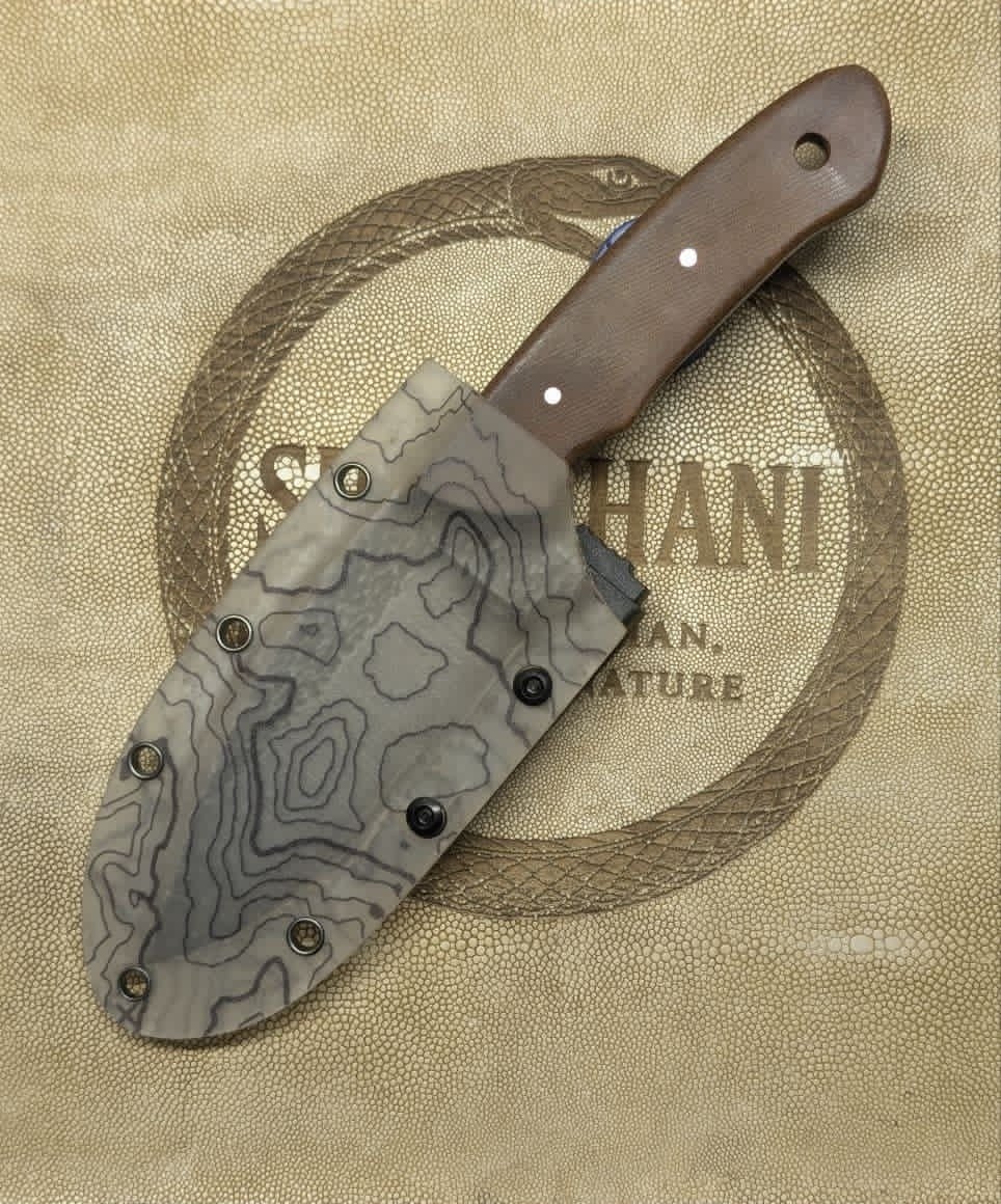 სალაშქრო დანა